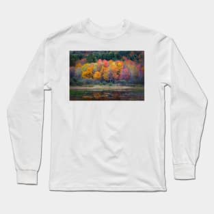 Burst of Fall Long Sleeve T-Shirt